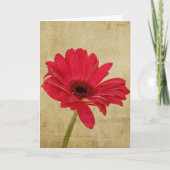 Red Gerbera Flower Kaart (Voorkant)