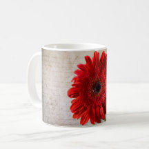 Red Gerbera - mokken