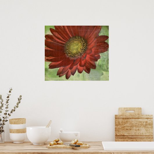 Red Gerbera Poster (Keuken)