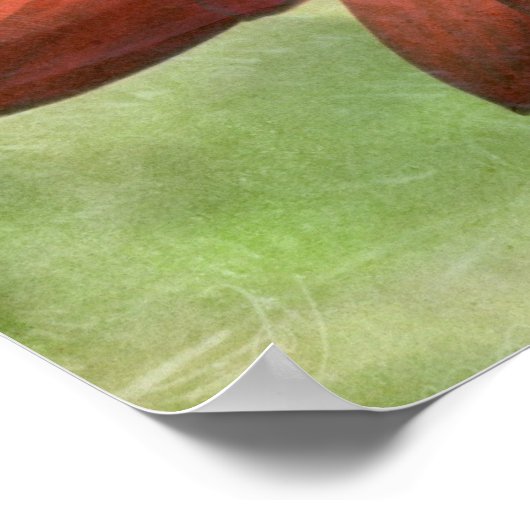 Red Gerbera Poster (Hoek)