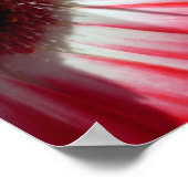 Red Gerberas Poster, S Cyr Poster (Hoek)