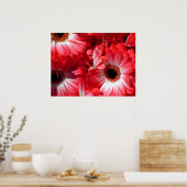 Red Gerberas Poster, S Cyr Poster (Keuken)