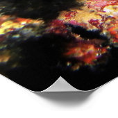 Red Giant Frogfish Poster (Hoek)