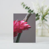 Red Ginger Flower Briefkaart (Staand voorkant)