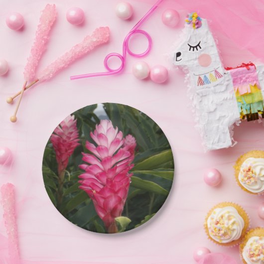 Red Ginger Paper Bord (Feest)