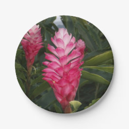 Red Ginger Paper Bord