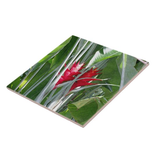 Red Ginger Tegeltje (Zijkant)