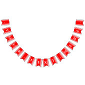 Red Gingham Monogram Picnic Bunting Banner (Alle)
