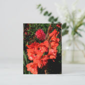 Red Gladiolas Briefkaart (Staand voorkant)