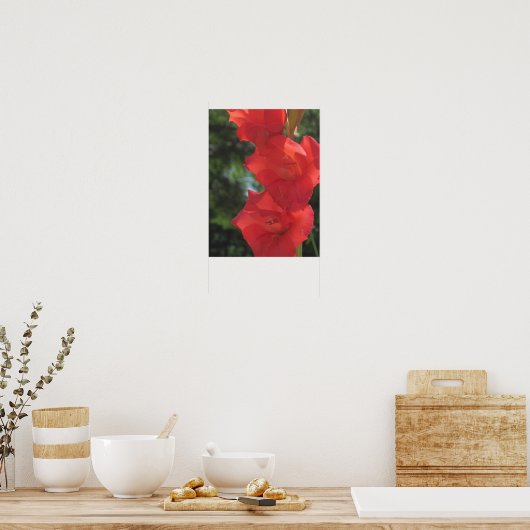 Red Gladiolas Poster Print (Keuken)
