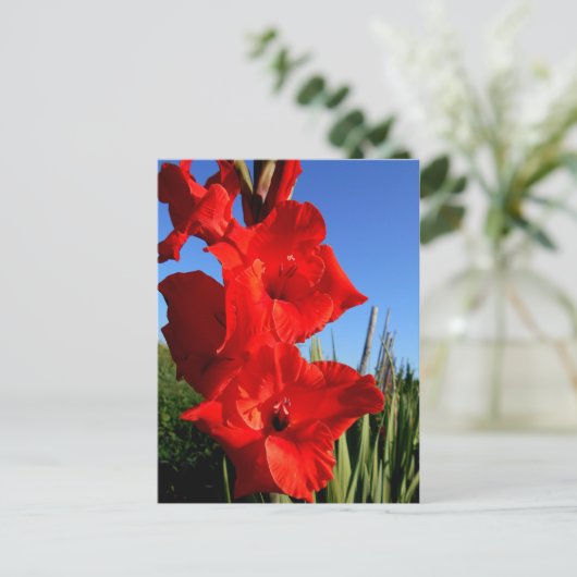 Red Gladiolus en de blauwe hemel Briefkaart (Staand voorkant)