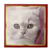 Red & Gold Framed Abstract Cat Print Tegeltje (Voorkant)