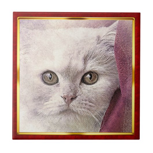 Red & Gold Framed Abstract Cat Print Tegeltje (Voorkant)