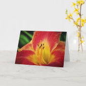 Red Gold Lily Flower Note Kaart (Gele Bloem)
