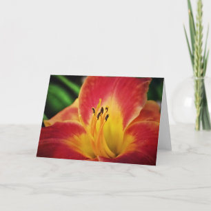 Red Gold Lily Flower Note Kaart