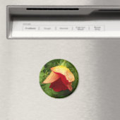 Red Gold Roos Petals Raindrops Floral Foto Magneet (Insitu (Vaatwasser))