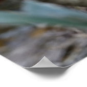 Red Golden Pheasant Poster (Hoek)