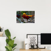 Red Golden Pheasant Poster (Thuiskantoor)