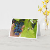Red Grape Bunch in hand Kaart (Gele Bloem)