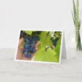 Red Grape Bunch in hand Kaart (Voorkant)