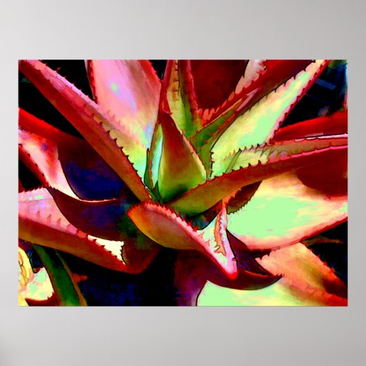 Red & Green Agave Poster (Voorkant)