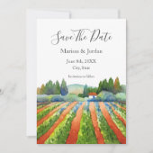 Red Green Blue Vineyard Save The Date (Voorkant)