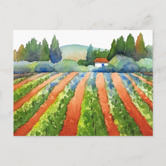 Red Green Blue Vineyard-Waterverf Briefkaart (Voorkant)