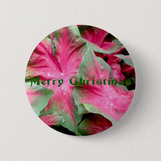 Red Green Caladium Merry-kerstkaart Ronde Button 5,7 Cm (Voorkant)
