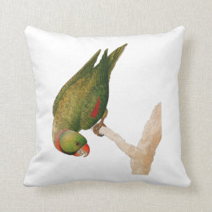 Red Green Parrot Kussen
