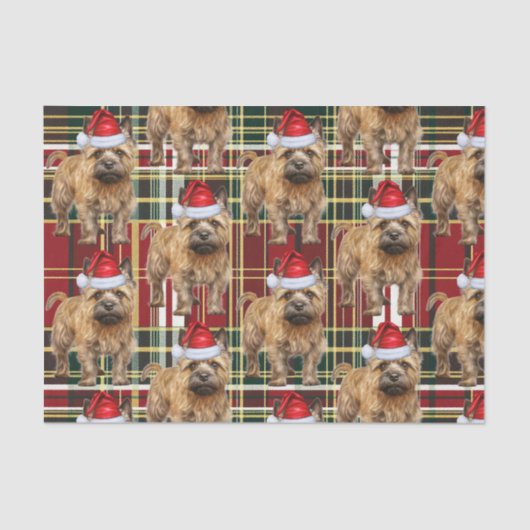 Red Green Plaid Cairn Terrier Kerstvakantie Tissuepapier (Voorkant)