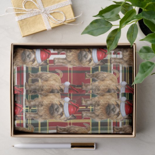 Red Green Plaid Cairn Terrier Kerstvakantie Tissuepapier (Geschenk)