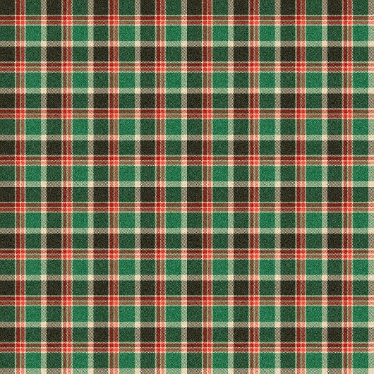 Red Green Plaid Towel Classic Christmas Gift Idea Bad Handdoek