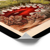 Red Green Zee Anemone Marine Life Print (Hoek)