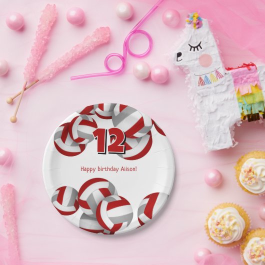 Red Grey Volleyballs Meisjes Jongens Verjaardagsfe Papieren Bordje (Feest)