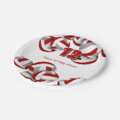 Red Grey Volleyballs Meisjes Jongens Verjaardagsfe Papieren Bordje (Gekanteld)