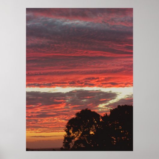 Red Gully Skies Poster (Voorkant)