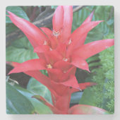 Red Guzmania Bromeliad Floral Stenen Onderzetter (Voorkant)