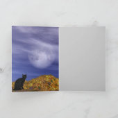 Red Haire Witch Kaart (Binnen)