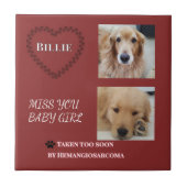 Red Halo Pet Remembrance  Tegeltje (Voorkant)