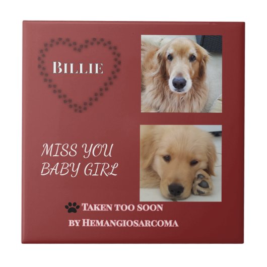 Red Halo Pet Remembrance  Tegeltje (Voorkant)