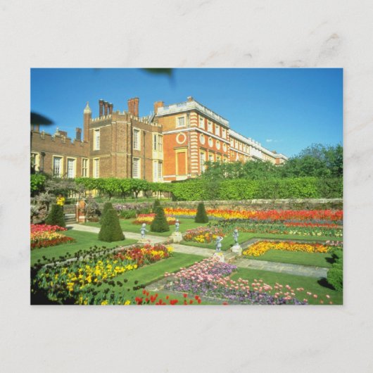 Red Hampton Court, Surrey, Engeland bloemen Briefkaart (Voorkant)