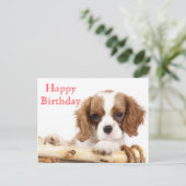 Red Happy Birthday Cavalier King Charles Spaniel Briefkaart (Staand voorkant)