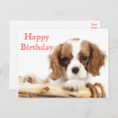 Red Happy Birthday Cavalier King Charles Spaniel Briefkaart (Voorkant / Achterkant)