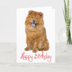 Red Happy Birthday Chow Chow Brown Puppy Dog Kaart