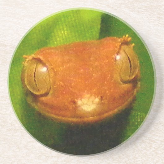 Red Harlequin Crested Gecko Zandsteen Onderzetter (Voorkant)