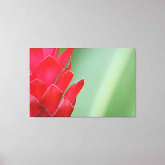 Red Hawaiian Ginger Flower Canvas Afdruk (Voorkant)