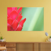 Red Hawaiian Ginger Flower Canvas Afdruk (Insitu (Woonkamer))