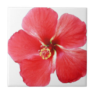 Red Hawaiian Hibiscus Flower Tegeltje