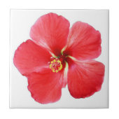 Red Hawaiian Hibiscus Flower Tile Tegeltje (Voorkant)