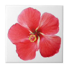 Red Hawaiian Hibiscus Flower Tile Tegeltje